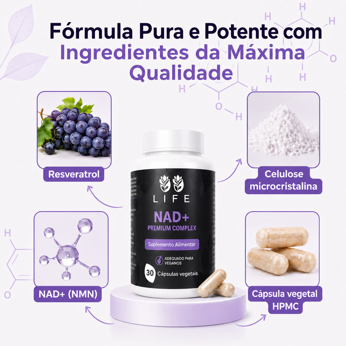 gid://shopify/MediaImage/40235393679585